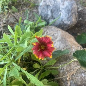 Meet your Posher, Tim